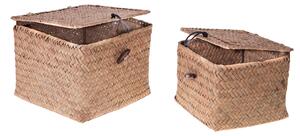Set Cubi con Coperchio Larghezza Coperchio 16 cmc