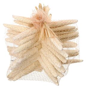 Stelle Marine Sbiancata 10 Pz 15x20 cm