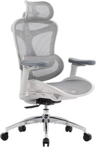 Sedia da ufficio ergonomica Doro C300, dotata di braccioli 3D ultra-morbidi, supporto lombare dinamico ideale per l'uso in smart working e schienale regolabile