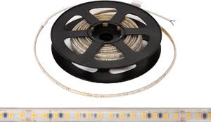 Striscia LED 220V 16W/m IP66 Dimmerabile Professional - Taglio 10cm – 20m