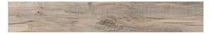 Gres porcellanato per interno 20x121 effetto legno sp. 10 mm Antique beige