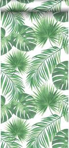 Carta da parati Jungle Foglie Tropicali verde, 53 cm x 10 m
