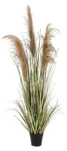 Pianta finta (altezza totale 145 cm) Austorderia – Bizzotto