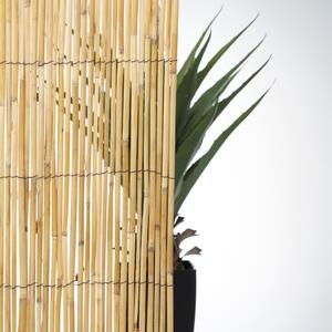 Arella bambù L 3 x H 1 m