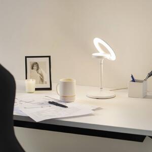 LTS Lampada LED da tavolo Filigree orientabile, bianco