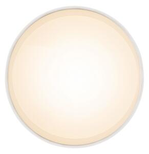 Globo 12015W - Plafoniera LED JENNY LED/8W/230V