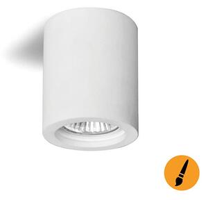 Luce Spot da soffitto PUTTO 1xGU10/35W/230V