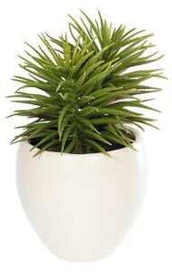 Pianta artificiale Pino con vaso in ceramica bianco 16 cm