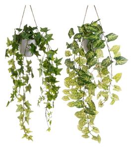 Piante artificiali in set da 2 (altezza 55 cm) - Casa Selección