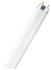 Tubo luminoso Fluorescente Fluo Osram 1300 LM bianco luce fredda L 60 cm