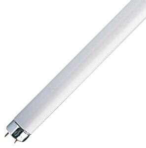 Tubo luminoso Fluorescente Fluo Osram bianco luce calda L 120 cm
