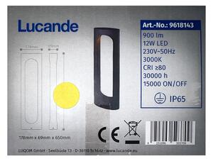 Lucande - Lampada da esterno FENTI LED/12W/230V IP65