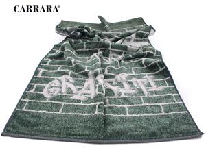 1 Asciugamano in spugna Carrara ACCADEMY 03 verde S23 misura cm 60x110 - SECONDA SCELTA