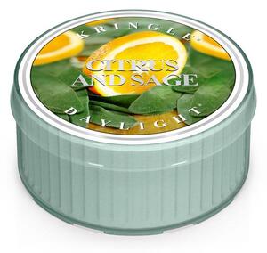Candela 42gr Kringle art. Daylight fragranza Citrus and Sage
