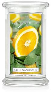 Candela 623gr Kringle art. Giara Grande fragranza Citrus and Sage