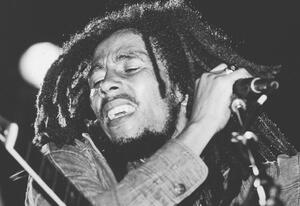 Fotografia Bob Marley Performs On Stage, Express Newspapers