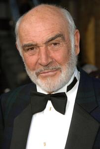 Fotografia Sean Connery at the 35th Afi Life Achievement Award, Stephen Shugerman