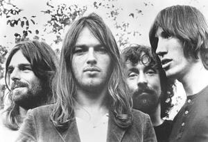 Fotografia Pink Floyd Publicity Shot, Michael Ochs Archives