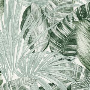 Carta da parati Jungla Foglie Tropicali verde, 53 cm x 10 m