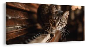Quadro su tela – Gatto curioso sul pianoforte