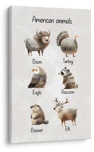 Quadro su tela – Animali americani illustrati