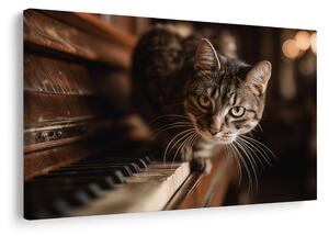 Quadro su tela – Gatto sul pianoforte