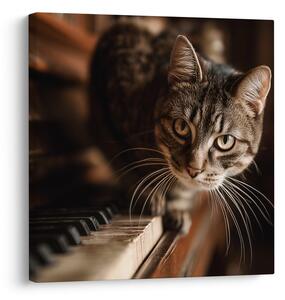 Quadro su tela – Gatto rilassato sul pianoforte