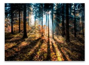 Immagine su tela, 70 x 100 cm Glasspik Autumn Sunset - Styler