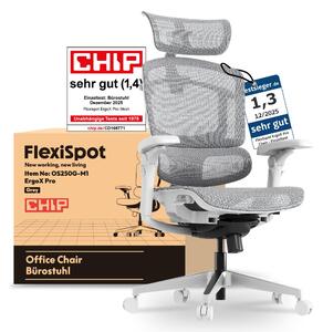 FLEXISPOT ErgoX Pro Sedia ergonomica per ufficio regolabile in altezza in 12 posizioni 7D braccioli 5D supporto lombare 4D poggiatesta Capacità di carico 250 kg Sedile in rete Grigio