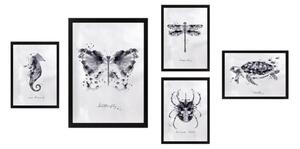 Dipinti in set da 5 pezzi Butterfly - Wallity