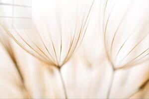 Pittura su vetro 100x70 cm Fluff - Wallity