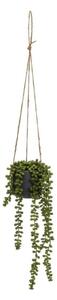 Pianta artificiale (altezza 37 cm) Senecio - Casa Selección