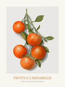 Riproduzione Oranges Watercolour Kitchen Fruit, (30 x 40 cm)