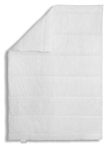 Piumino 135 x 200 cm, per tutte le stagioni, trapuntato medio, adatto a chi soffre di allergie, Bodyprotect ECOLine