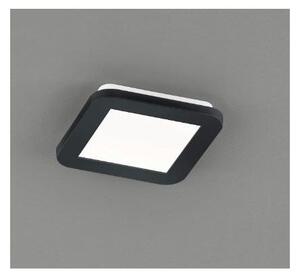 CAMILLUS PLAFONIERA PICCOLA QUADRATA 17X17 LED 9W IP44 DIMMERABILE MODERNA BIANCA O NERA