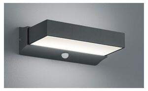 CUANDO APPLIQUE CON SENSORE DI MOVIMENTO ANTRACITE IP54 LED 14W LUCE 3000K BIEMISSIONE MODERNA