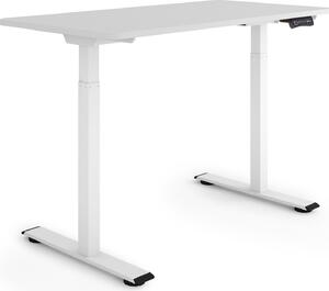 ESMART Germany ERX-122WG 120x60cm Grigio chiaro Scrivania ergonomica sit-stand Regolabile elettricamente in altezza in modo continuo 73,5-122,5 cm 3 x memoria Ricordo attività Doppio motore Montaggio rapido