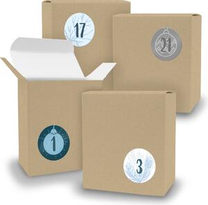 Calendario dell'Avvento da riempire, 24 cubetti MARRONE + adesivi V08 Z16