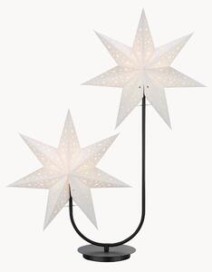 Luci di Natale Duo