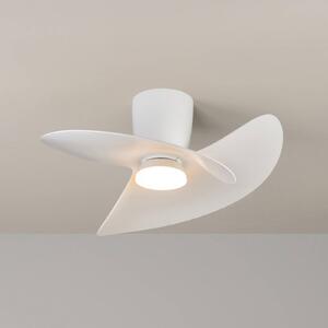 Mantra Iluminación Ventilatore da soffitto LED Ona, bianco, CC, silenzioso, CCT, 70 cm dimmerabile, Bianco / Opale, Soggiorno / Sala da pranzo, Metallo, Moderno