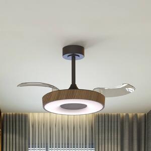 Mantra Iluminación Ventilatore da soffitto LED Coin, legno/nero, CC, silenzioso dimmerabile, Legno chiaro, Soggiorno / Sala da pranzo, Metallo, Moderno