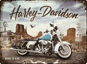 Cartello in metallo Harley-Davidson - King of Route 66, (40 x 30 cm)