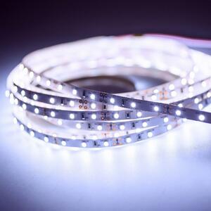 Striscia LED 3528 blu-bianco (10000K) 24W 500CM 12V IP20