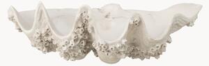 Ciotola decorativa Seashell Seashell