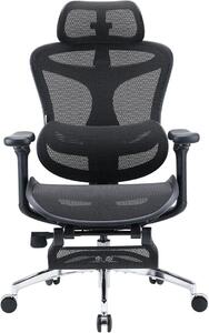 Sedia da ufficio ergonomica con supporto lombare dinamico, braccioli 3D e schienale regolabile, poggiapiedi per maggiore comfort, sedia da scrivania ideale per l'ufficio domestico, modello Doro C300 – colore nero