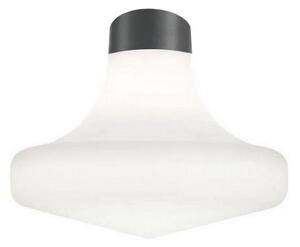 Ideal Lux - Plafoniera da esterno CLIO 1xE27/42W/230V IP44 antracite