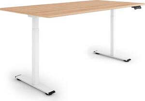 ESMART ERX-122WM 160x80cm Decorazione acero Scrivania ergonomica in piedi/seduta Regolabile elettricamente in altezza in modo continuo 73,5-122,5 cm 3 x memoria Ricordo attività Montaggio rapido