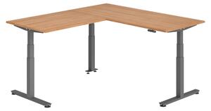 Scrivania angolare bümö regolabile elettricamente in altezza, forma a L - Struttura: grafite, finitura: noce, dimensioni: scrivania angolare 180 x 200 cm