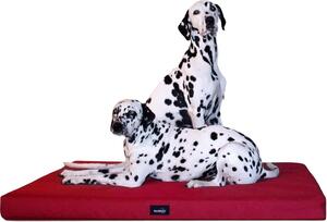 Tierlando® Materasso ortopedico per cani ALICE VISCO Tappeto per cani Letto per cani S - XXL - Dimensioni: 80x60cm | Colore: 04 Rosso scuro
