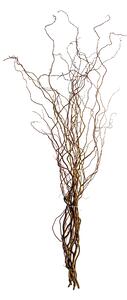 Set 20 Rami Naturali Salix 200 cm Nocciolo
